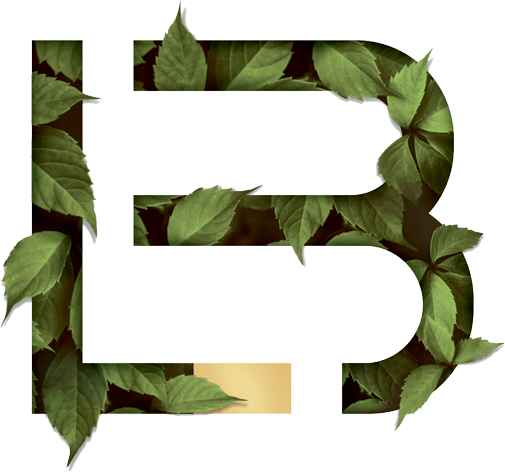 Lemieux bédard logo with leaf